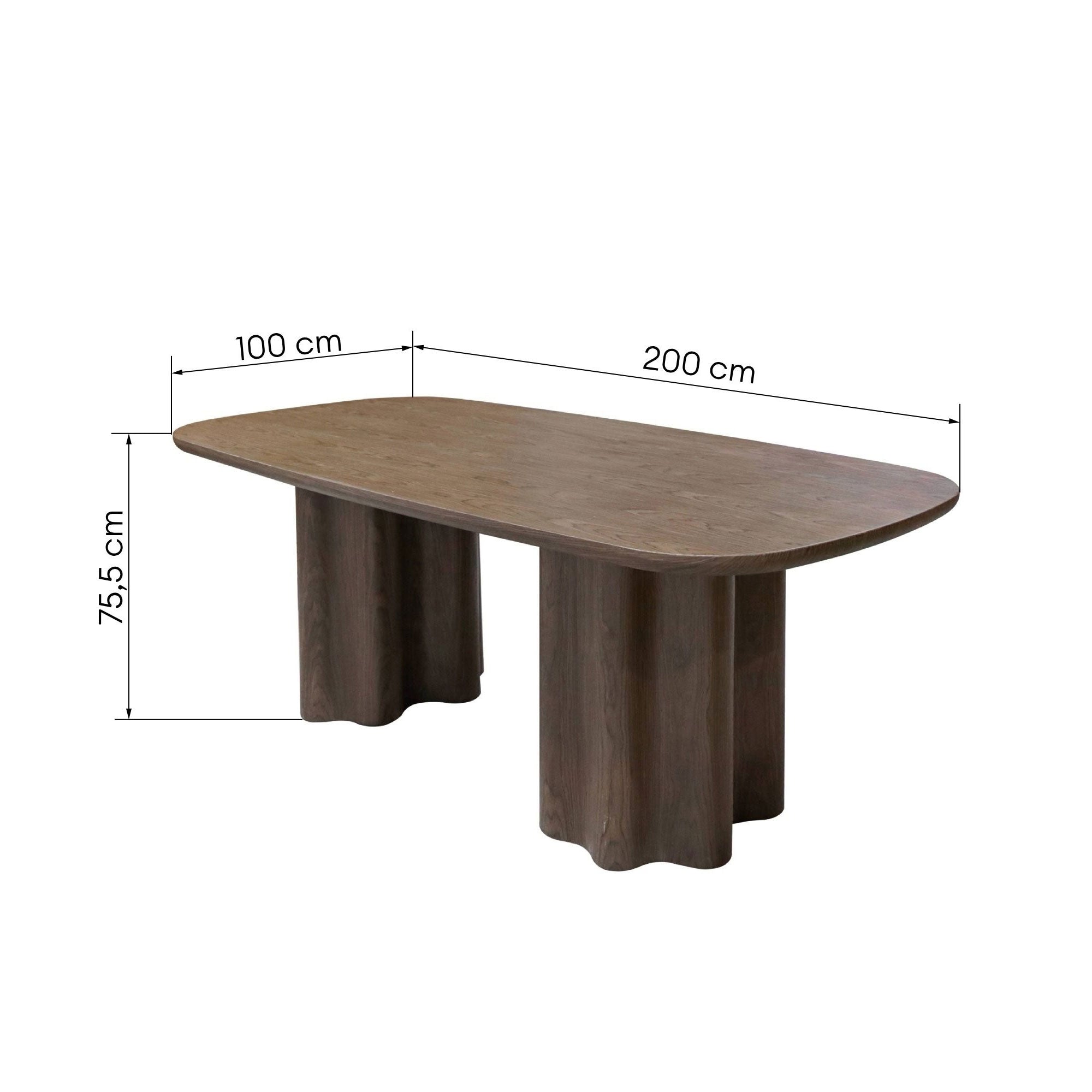 Stalas LOLA 200x100 cm