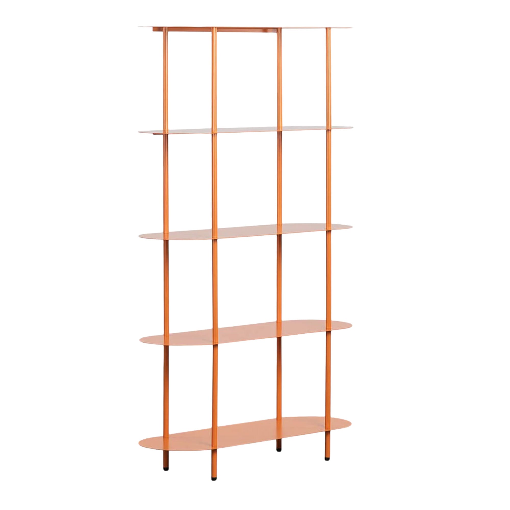 Idrix lentyna vaikų kambaryje žaislams ir knygoms laikyti, metalinė konstrukcija