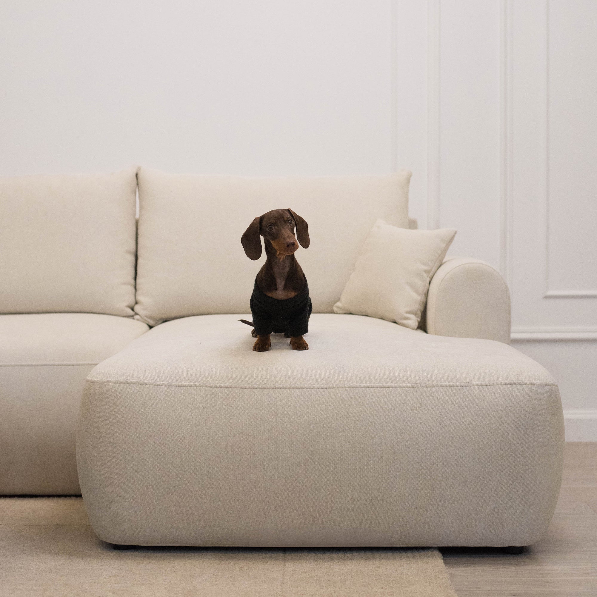 Kampinė miegamoji sofa NIVO 238 cm