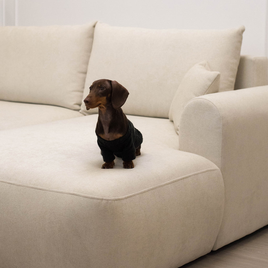 Kampinė miegamoji sofa NIVO 238 cm